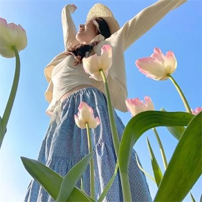 蠢蛋进化论